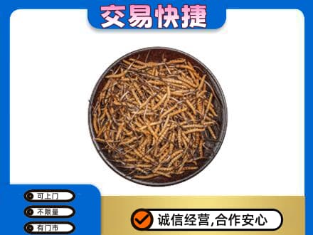 丽江市玉龙高价回收散虫草