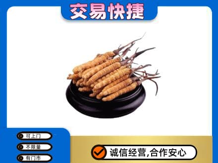 丽江市玉龙礼品回收散虫草.jpg
